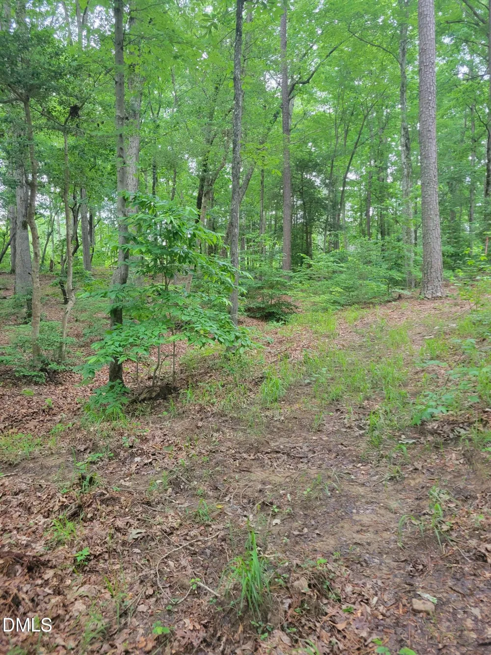 Lot 23 Sail View Lane Macon, NC 27551