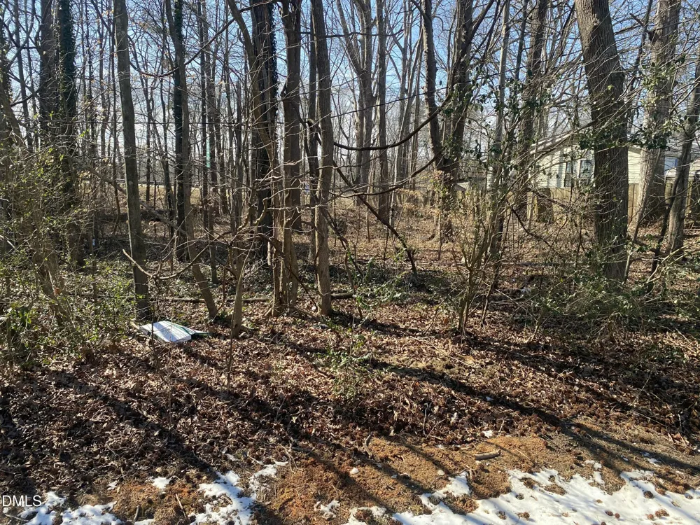 0000 Lannie Drive Hillsborough, NC 27278