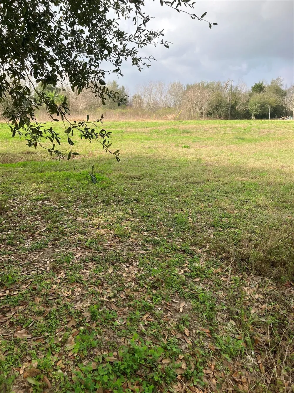 5719 Highway 6 Hitchcock, TX 77563