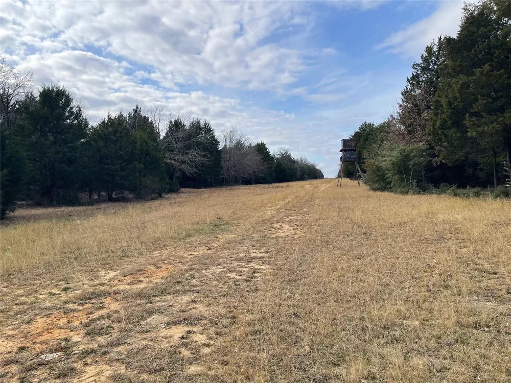 210 Fcr 521 Fairfield, TX 75840
