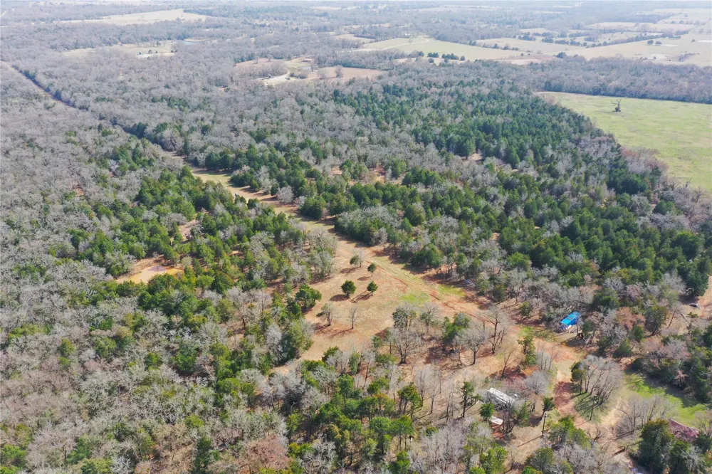 210 Fcr 521 Fairfield, TX 75840