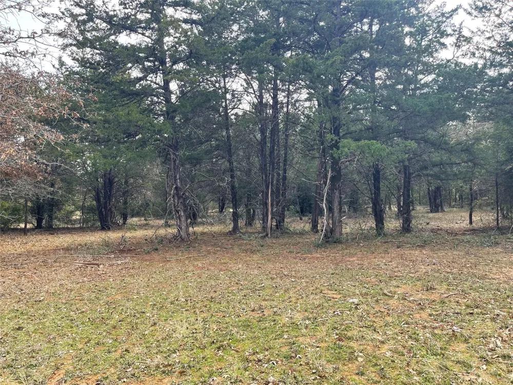 210 Fcr 521 Fairfield, TX 75840