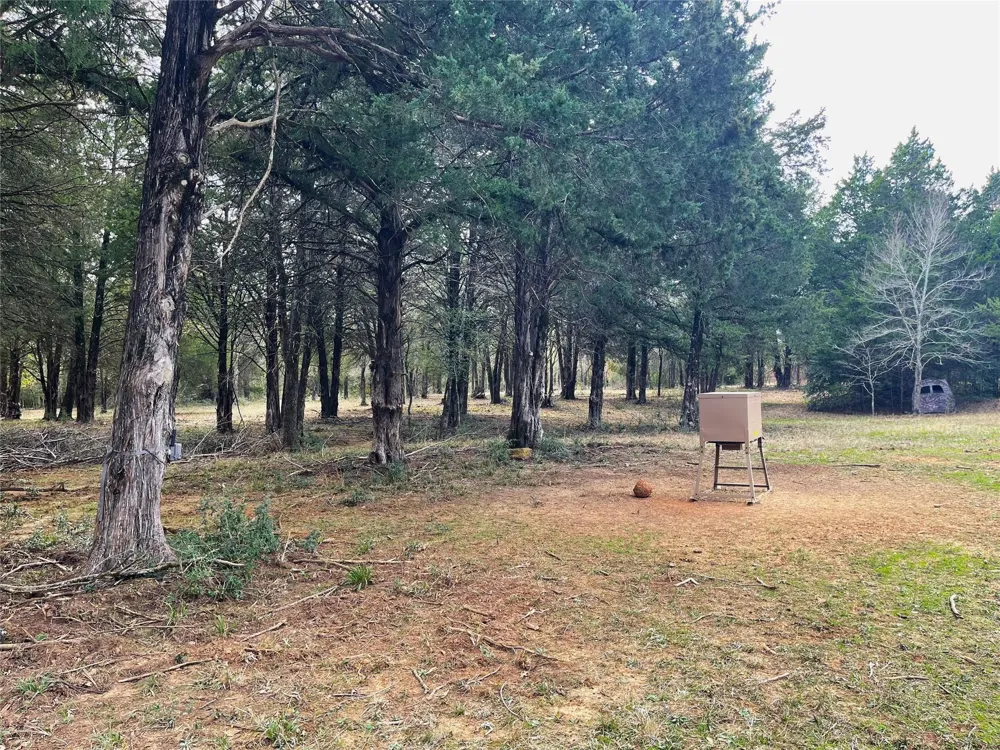 210 Fcr 521 Fairfield, TX 75840