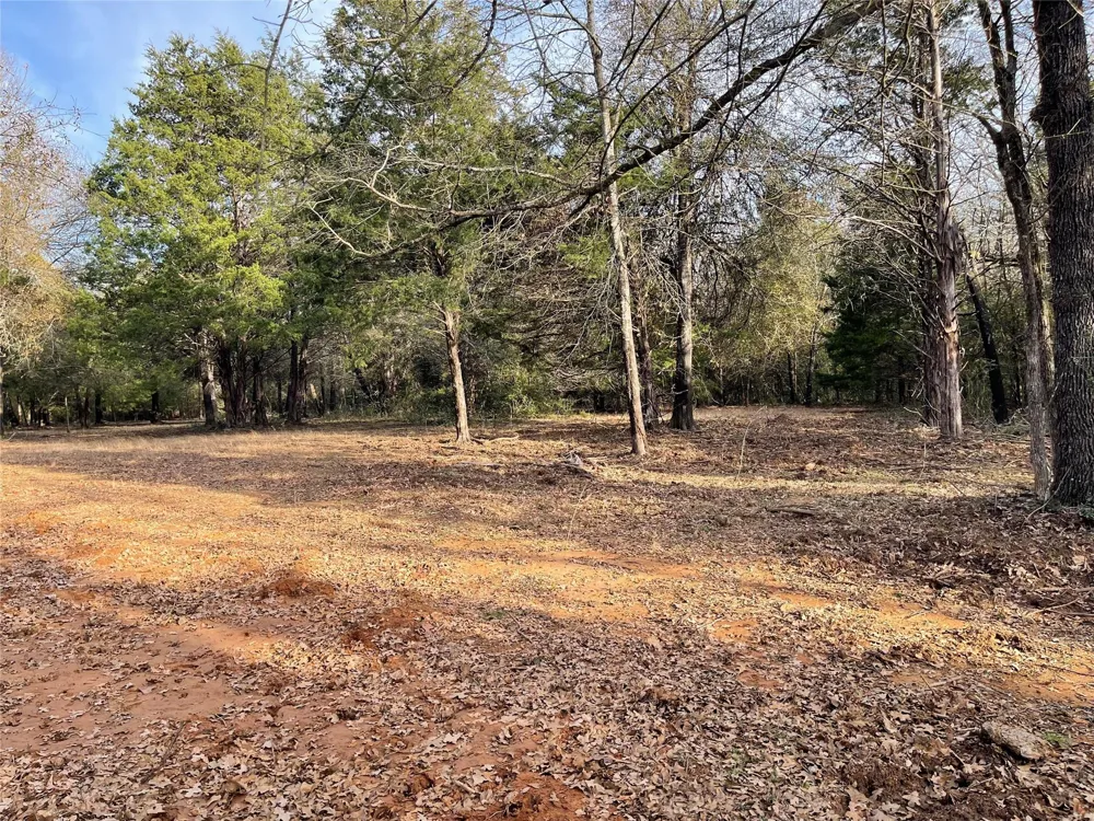 210 Fcr 521 Fairfield, TX 75840