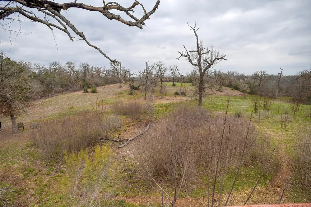 537 Leisure Lane Cedar Creek, TX 78612