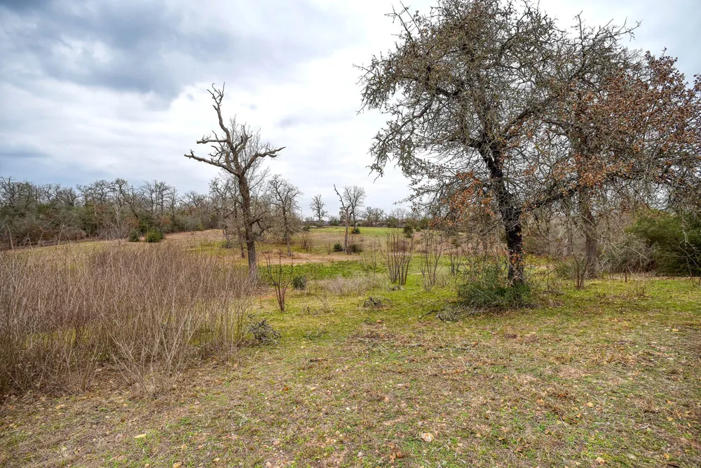 537 Leisure Lane Cedar Creek, TX 78612