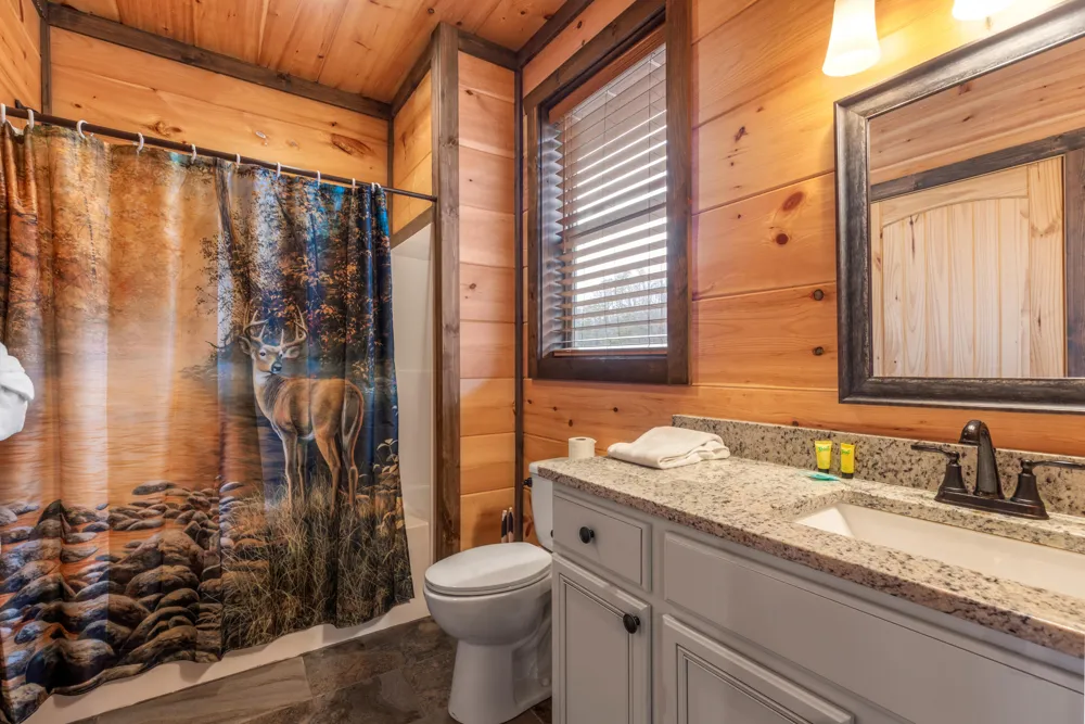 4608 Dreamland Way Sevierville, TN 37876