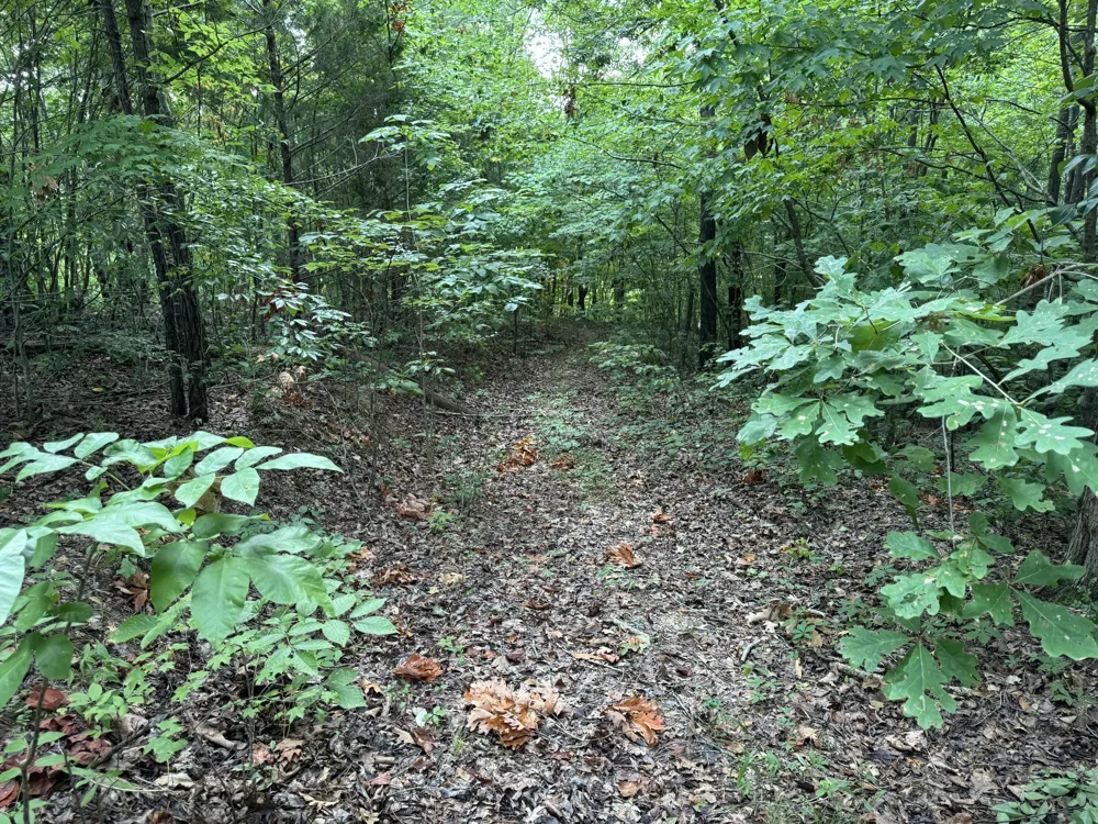 Ridge Road Dalton, GA 30721