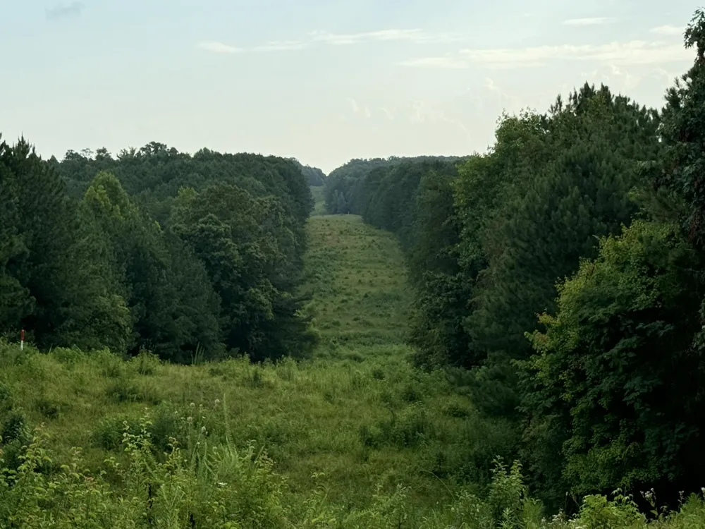Ridge Road Dalton, GA 30721