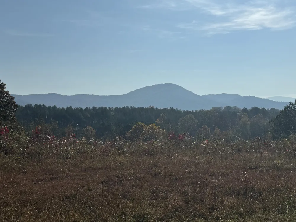Tennga Gregory Road Crandall, GA 30711
