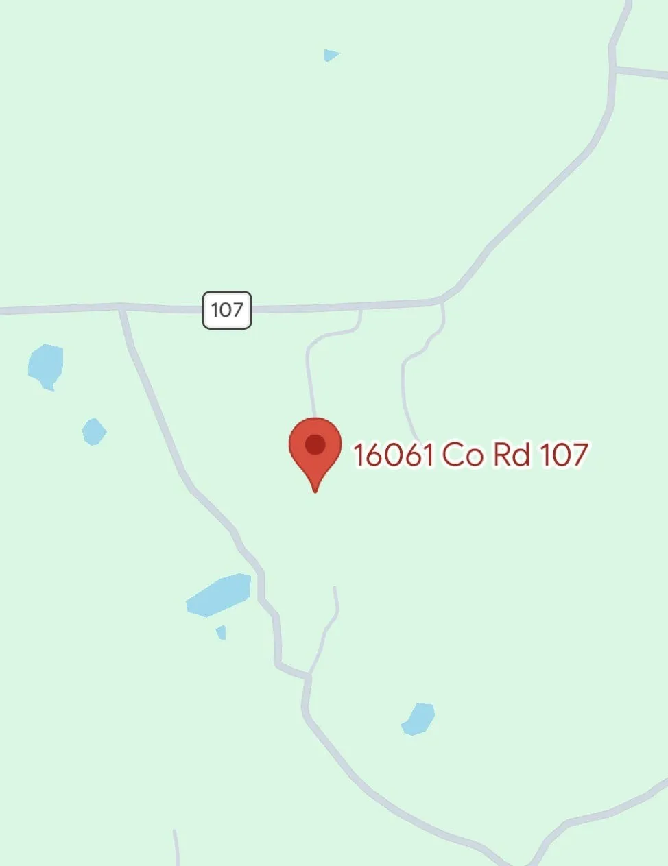 16061 County Road 107 Mingus, TX 76463