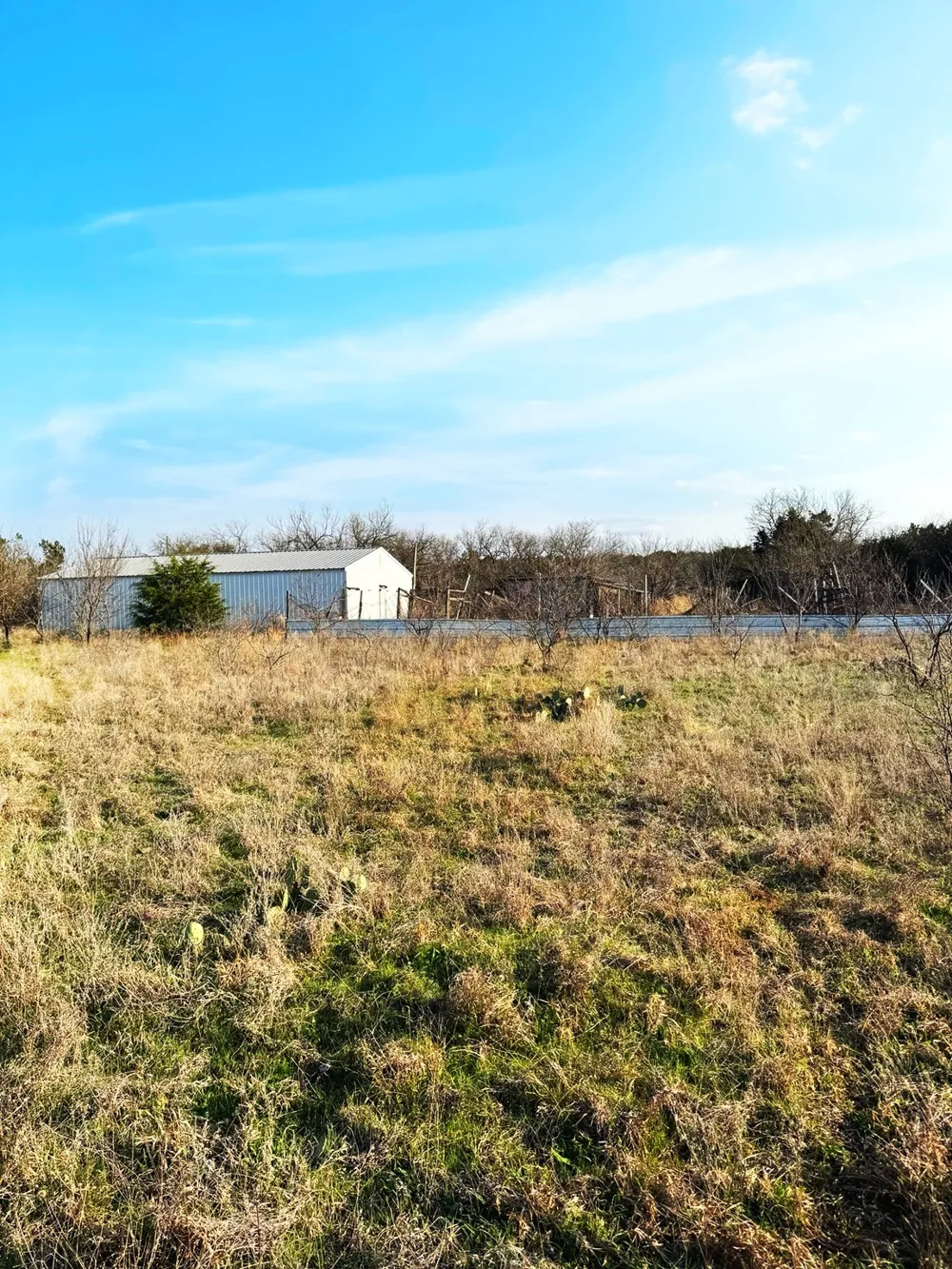 16061 County Road 107 Mingus, TX 76463