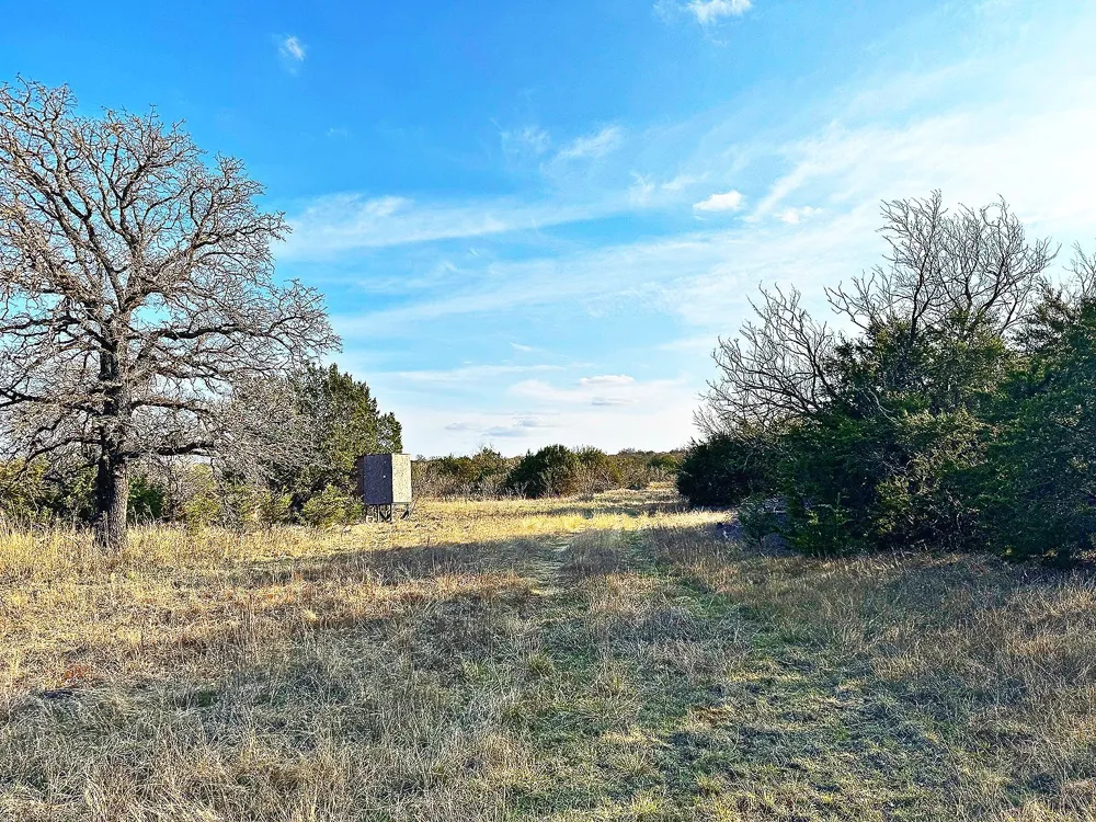 16061 County Road 107 Mingus, TX 76463