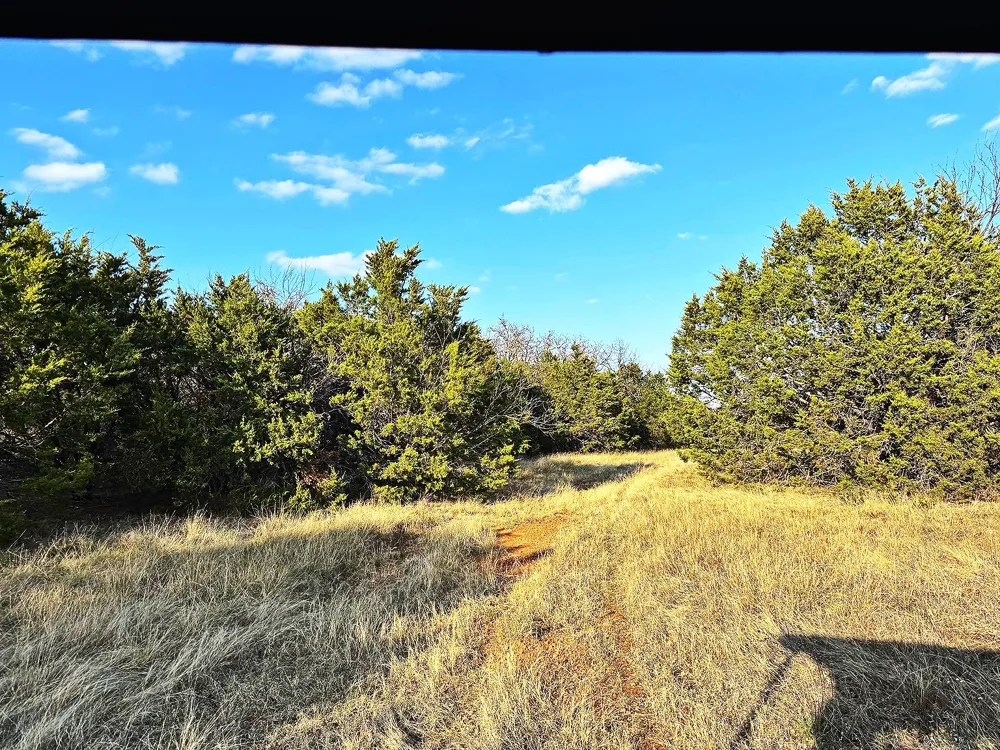 16061 County Road 107 Mingus, TX 76463