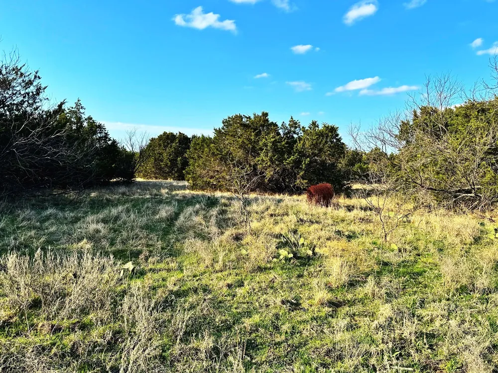 16061 County Road 107 Mingus, TX 76463
