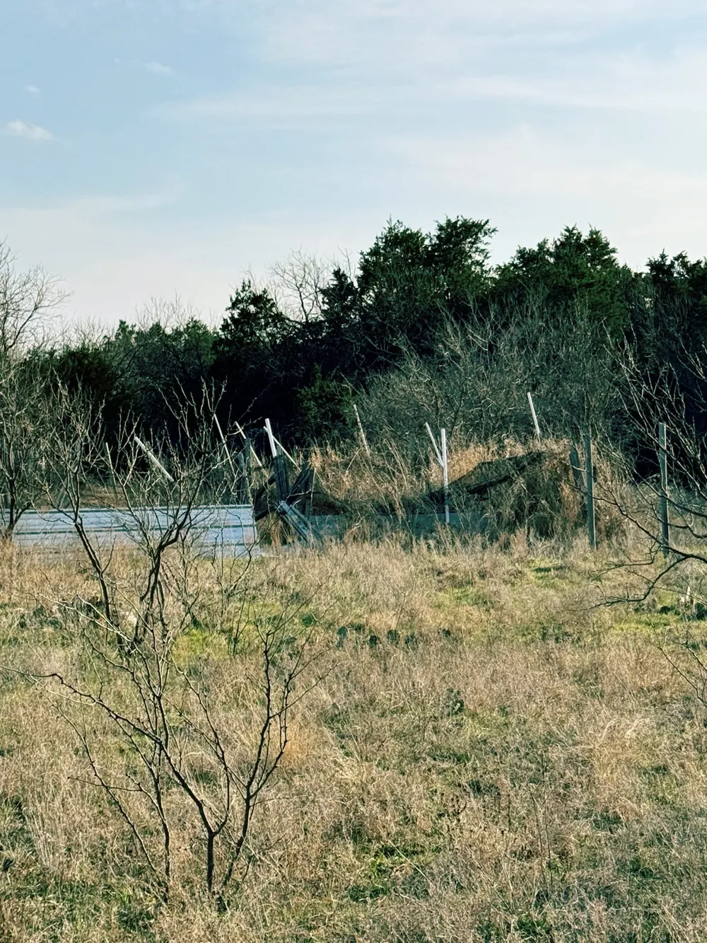16061 County Road 107 Mingus, TX 76463