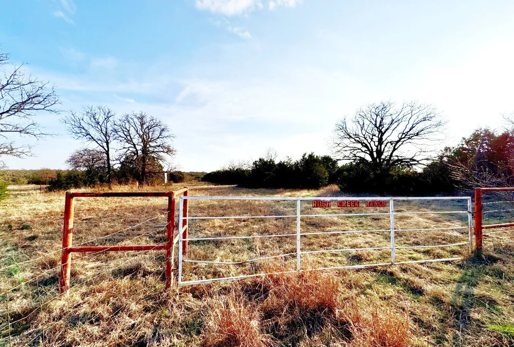 16061 County Road 107 Mingus, TX 76463