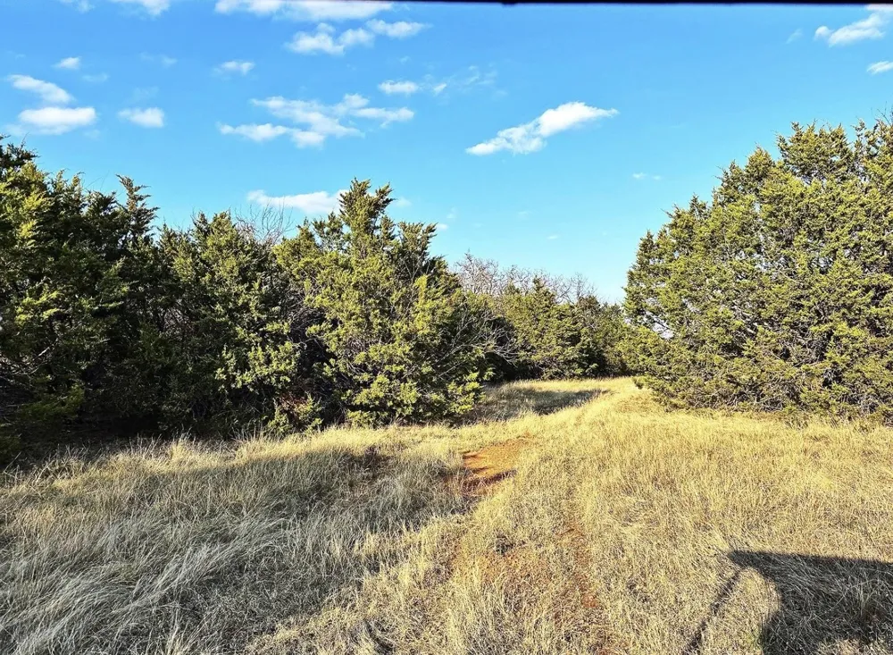16061 County Road 107 Mingus, TX 76463