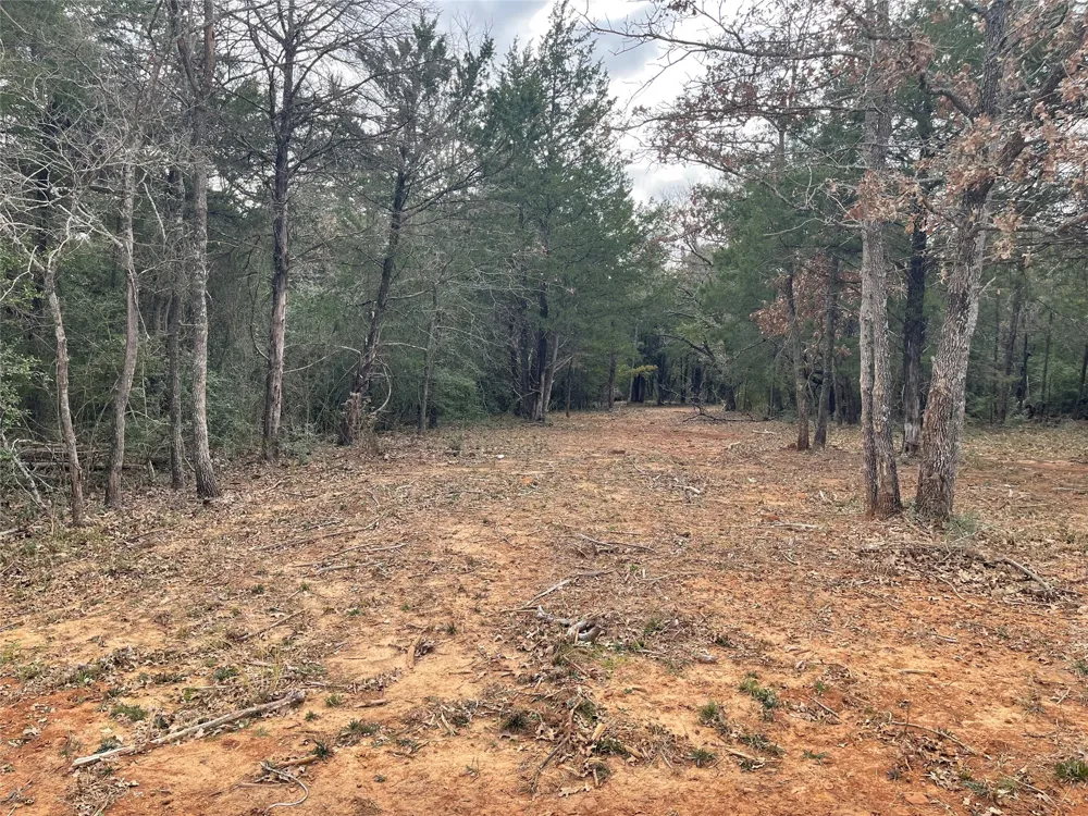 210 FCR 521 Fairfield, TX 75840