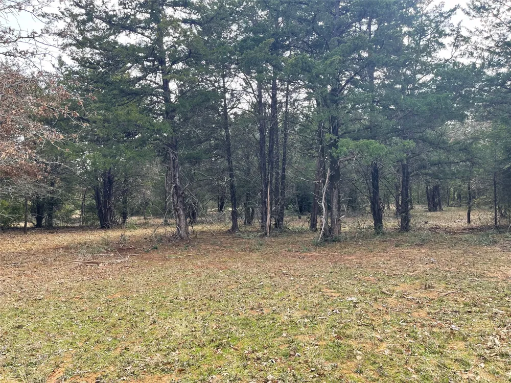 210 FCR 521 Fairfield, TX 75840