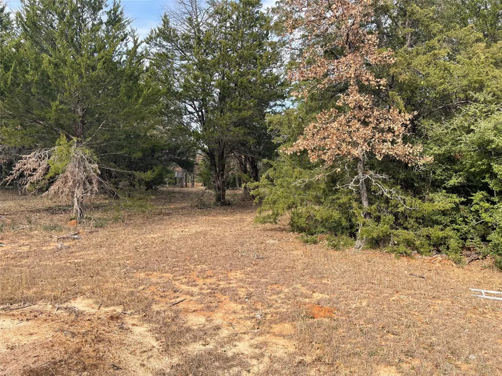 210 FCR 521 Fairfield, TX 75840