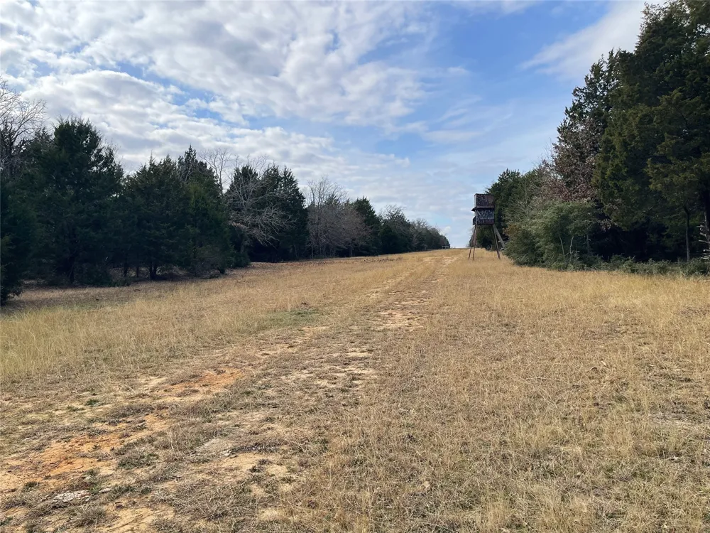 210 FCR 521 Fairfield, TX 75840
