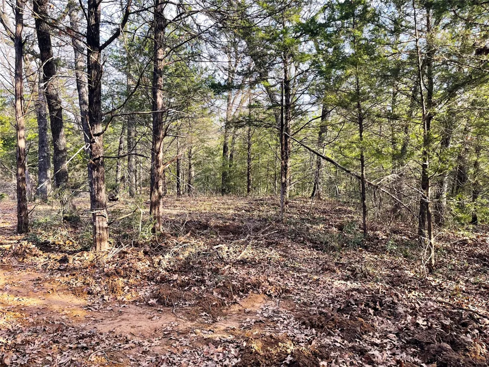 210 FCR 521 Fairfield, TX 75840