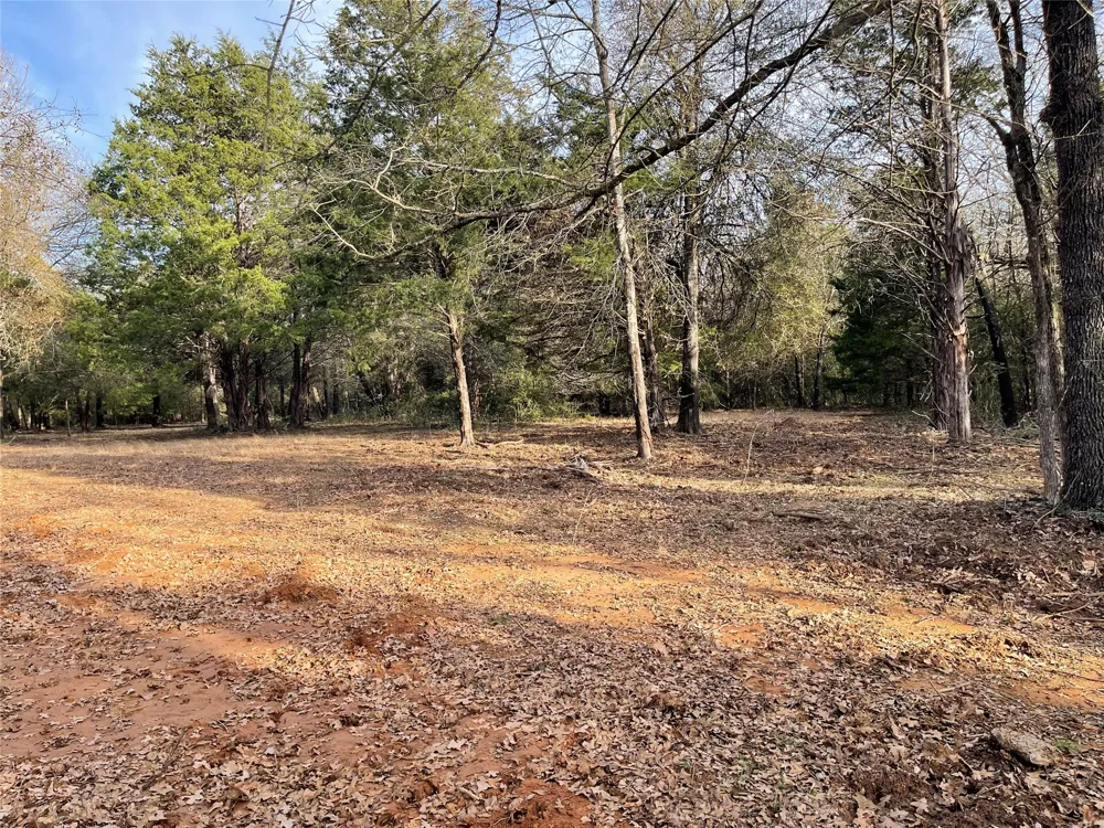 210 FCR 521 Fairfield, TX 75840