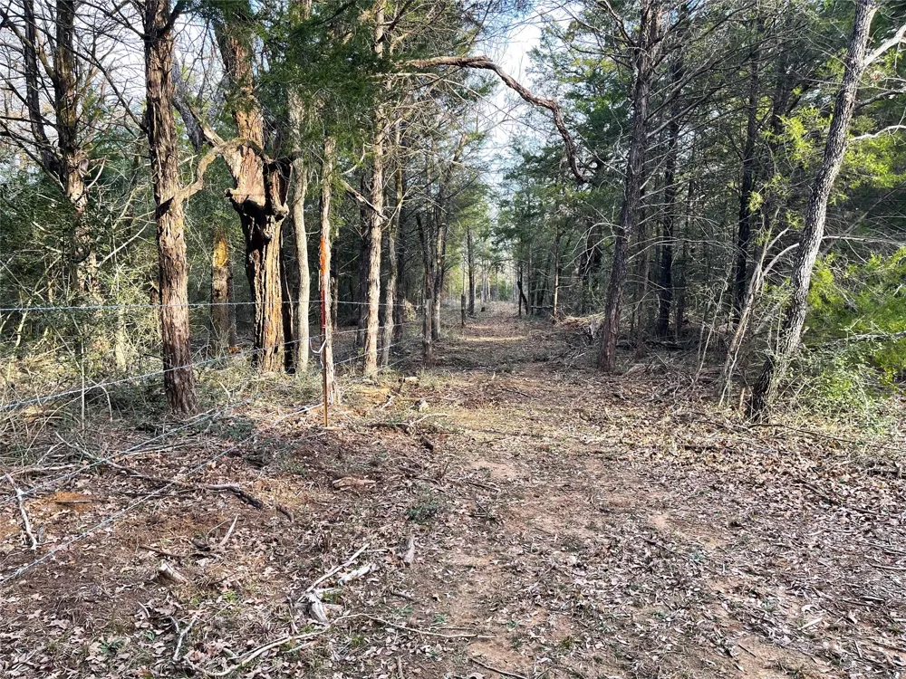 210 FCR 521 Fairfield, TX 75840