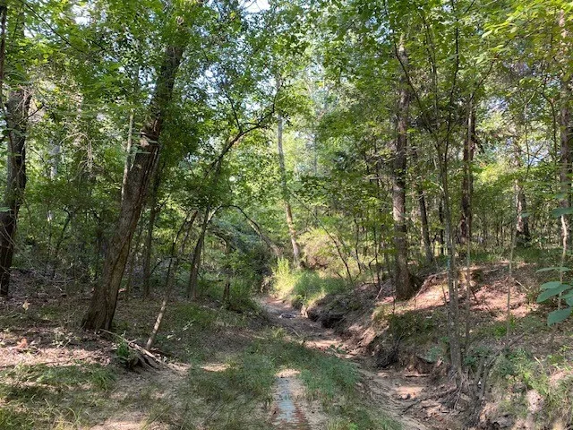 CR 41514 Athens, TX 75751
