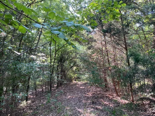 CR 41514 Athens, TX 75751