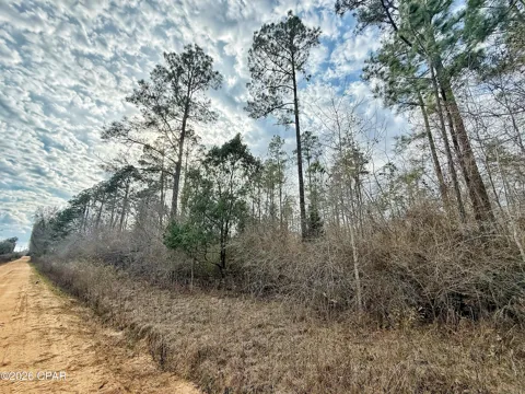 1718 Palmview Road