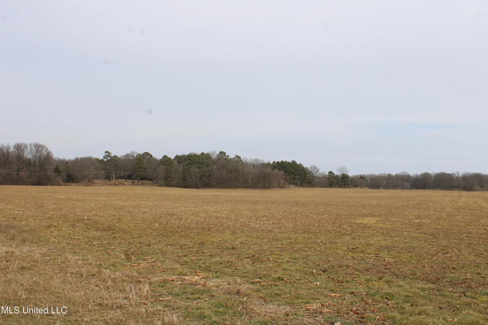 5000 Church Road Lake Cormorant, MS 38641