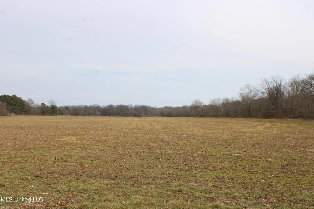 5000 Church Road Lake Cormorant, MS 38641