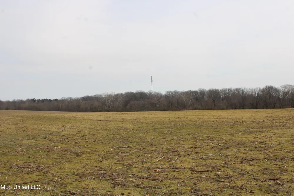 5000 Church Road Lake Cormorant, MS 38641