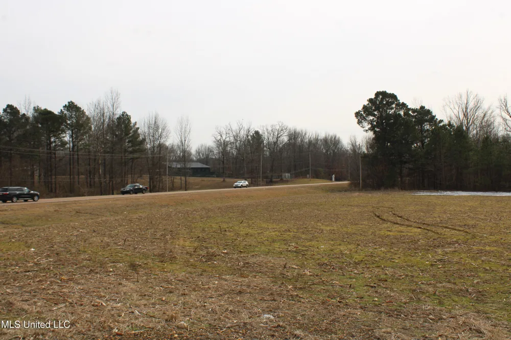 3900 Highway 301 Lake Cormorant, MS 38641