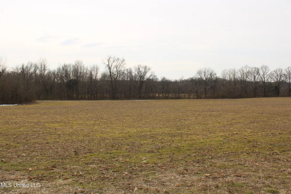 3900 Highway 301 Lake Cormorant, MS 38641