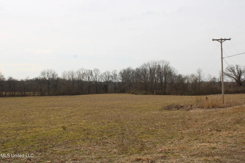 3900 Highway 301 Lake Cormorant, MS 38641