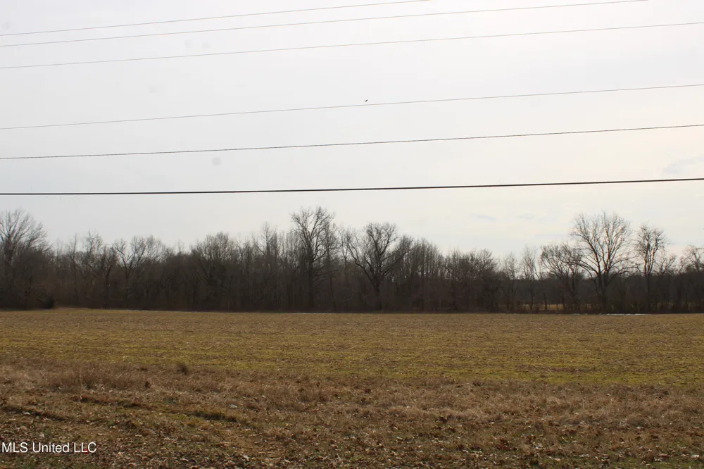 3900 Highway 301 Lake Cormorant, MS 38641