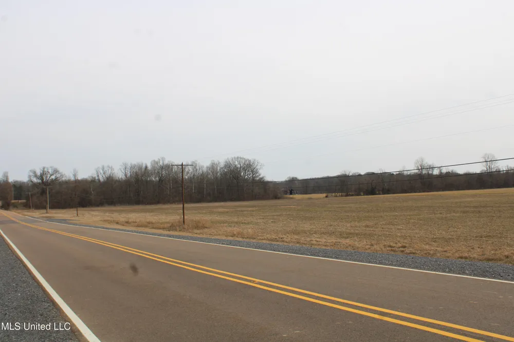3900 Highway 301 Lake Cormorant, MS 38641