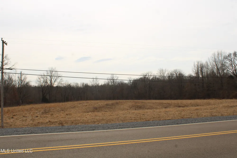 3900 Highway 301 Lake Cormorant, MS 38641