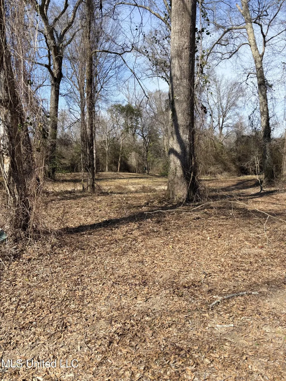 Lee Bass Road Pinola, MS 39149