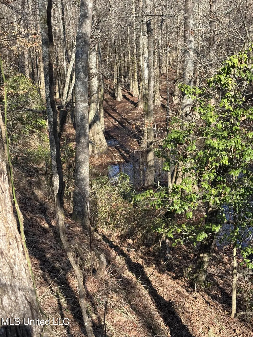 Lee Bass Road Pinola, MS 39149
