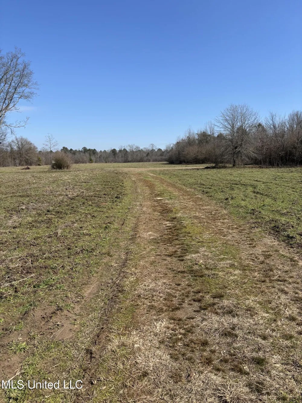 Lee Bass Road Pinola, MS 39149