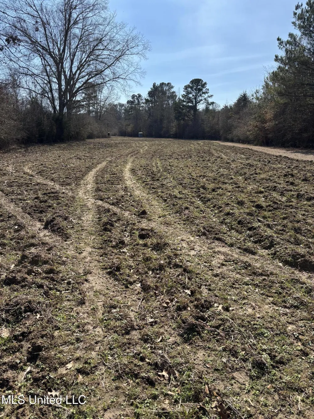 Lee Bass Road Pinola, MS 39149