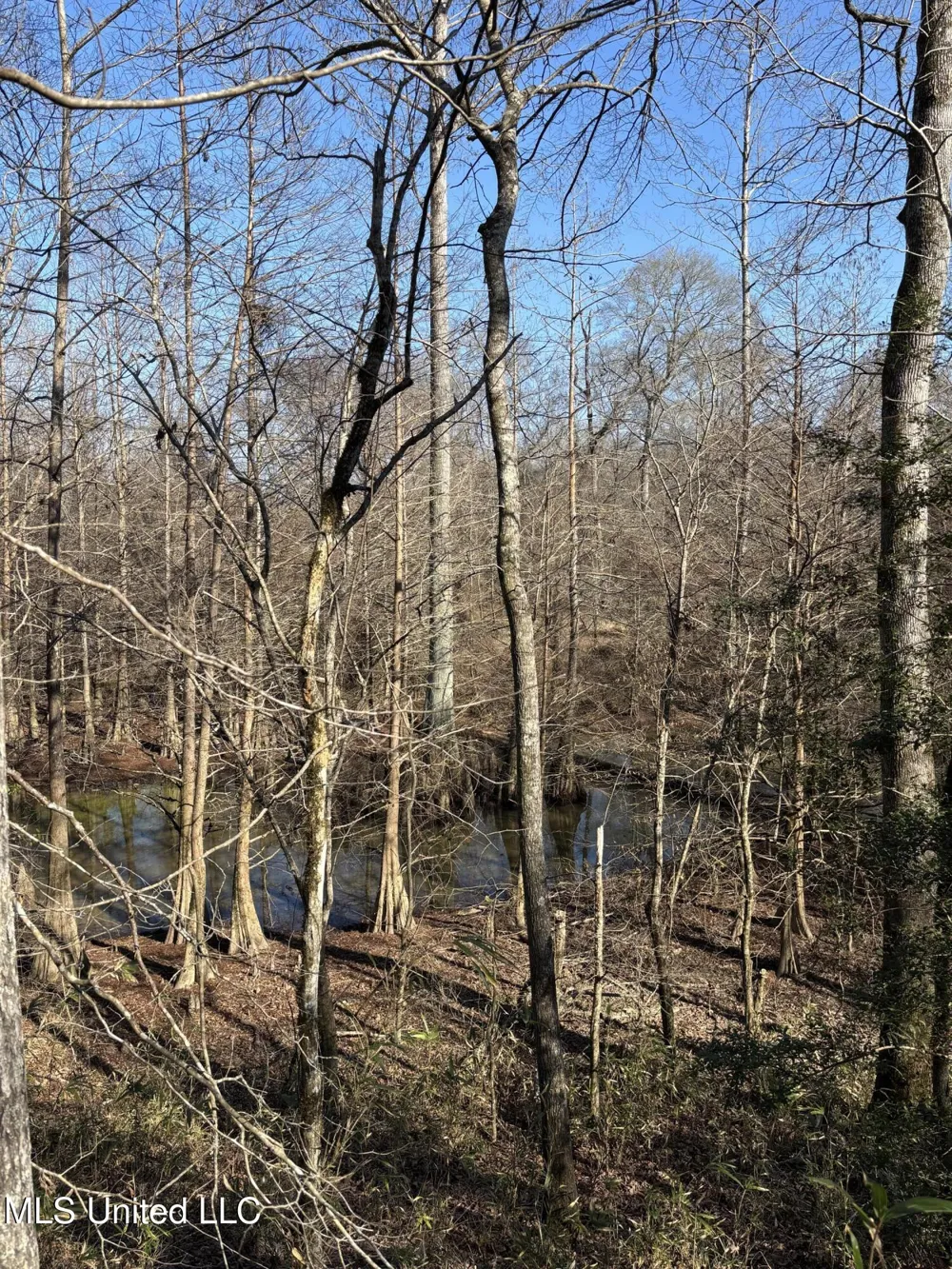 Lee Bass Road Pinola, MS 39149
