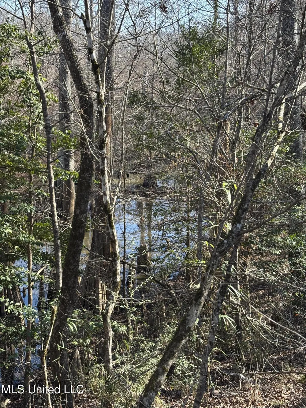 Lee Bass Road Pinola, MS 39149