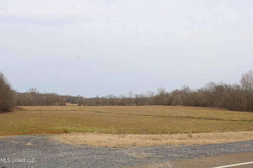 6000 Austin Road Lake Cormorant, MS 38641