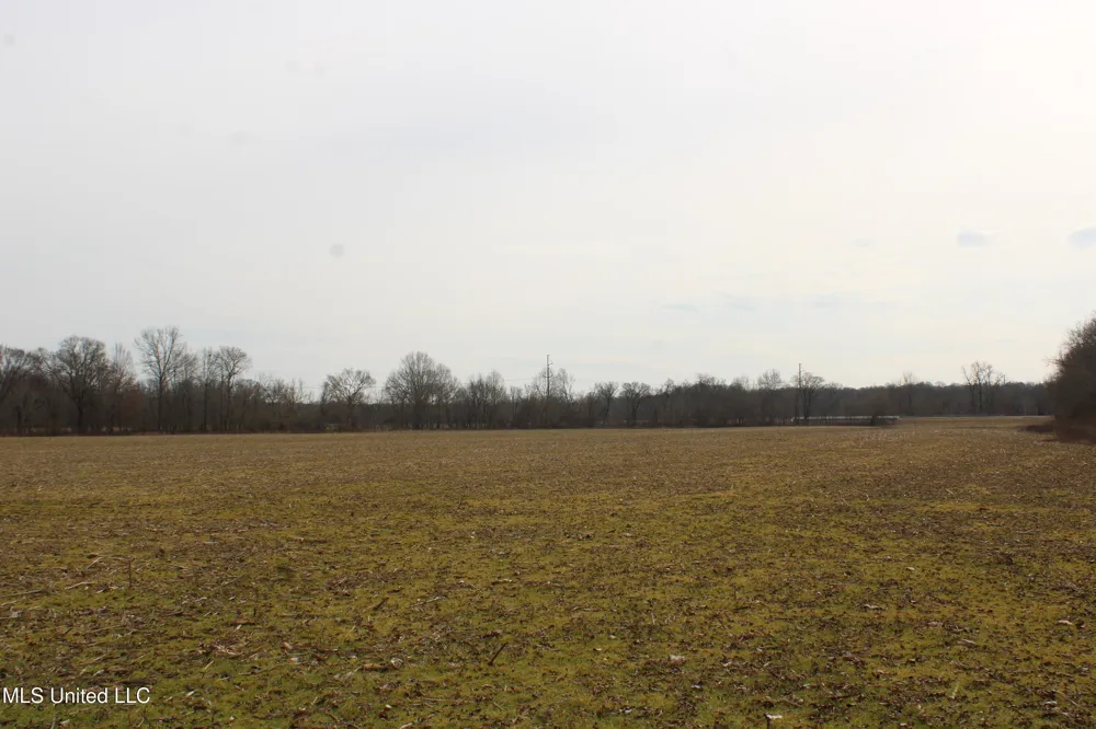 6000 Austin Road Lake Cormorant, MS 38641
