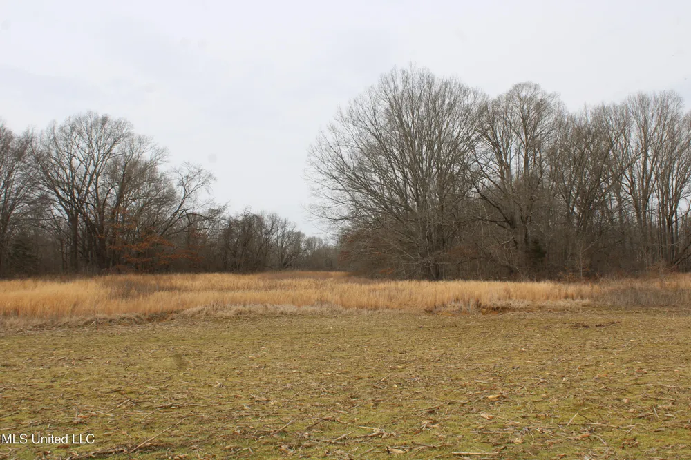 6000 Austin Road Lake Cormorant, MS 38641